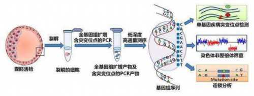 2026年第三代试管助孕费用、代生成功率及供卵代怀机构选择全攻略