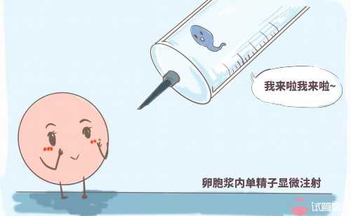 二胎助孕费用与成功率：三代试管价格深度解析