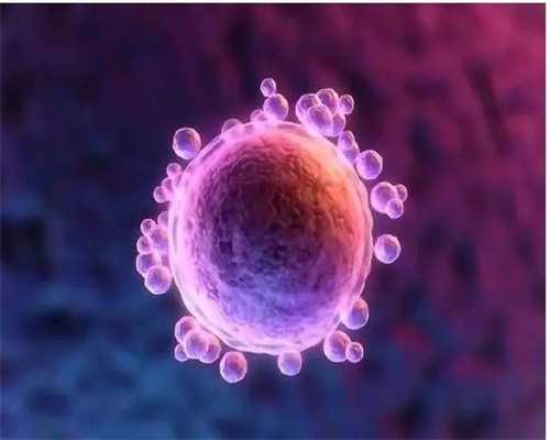 地区三代供卵助孕费用明细：代怀、代生子价格与正规机构选择